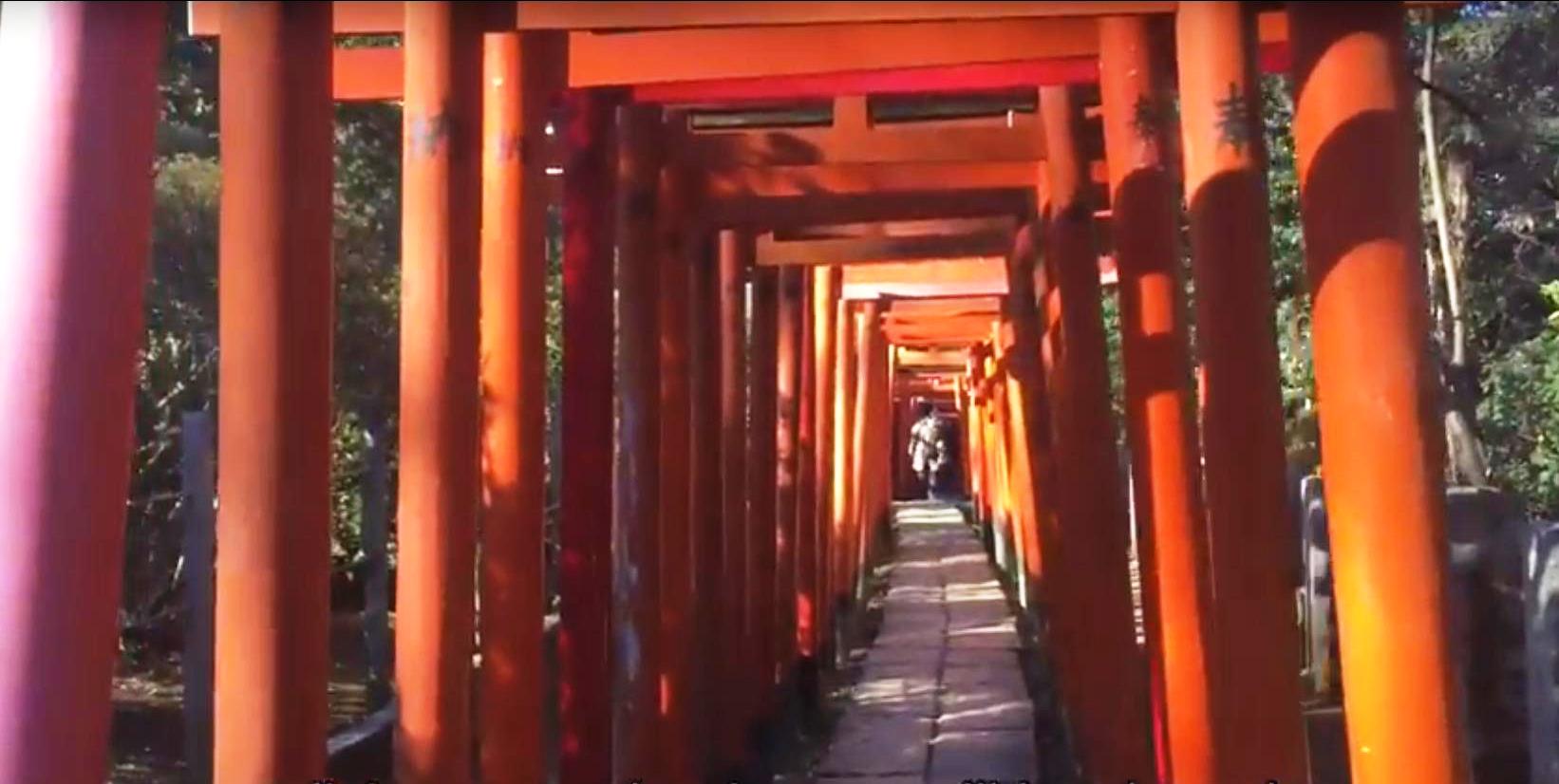 A Thousand Gates To Better Luck The Senbon Torii In Tokyo S Nezu Shrine Japan Forward
