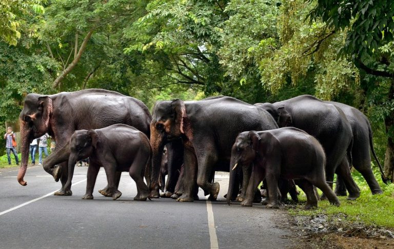 INDIA-FLOODS