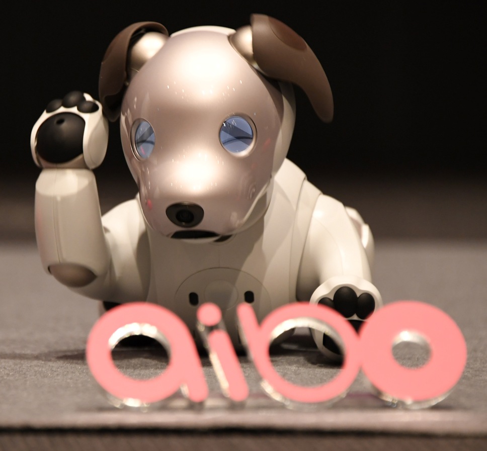 Aibo 2024 robotic pets