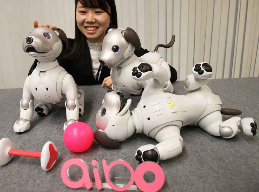 Sony aibo