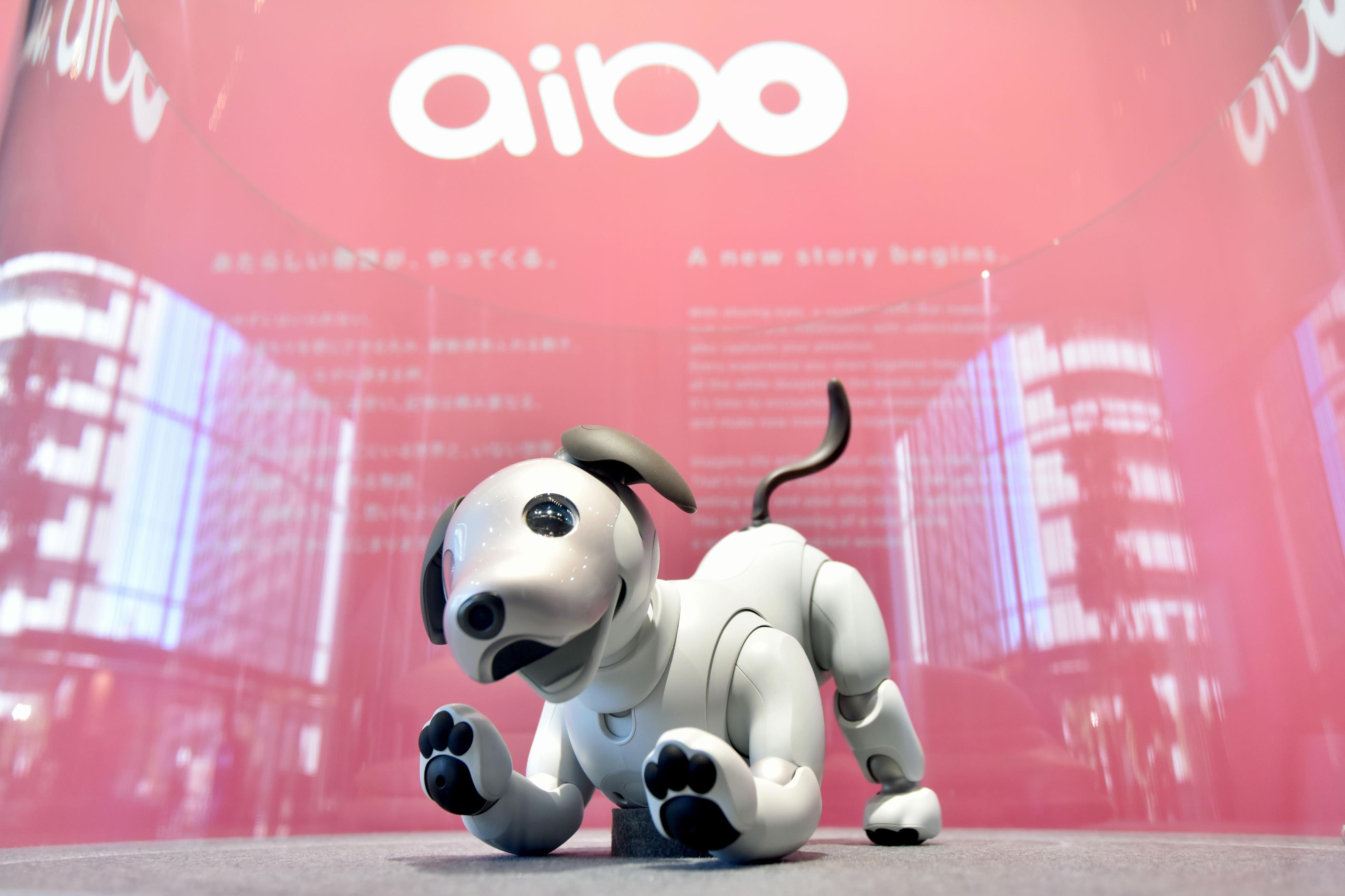 Sony 'aibo' Fetching Customers in New Age of Robot Companions