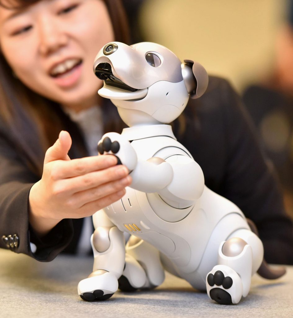 sony aibo