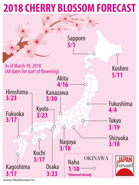 2018 Cherry Blossoms Viewing: A Guide for Ohanami | JAPAN Forward