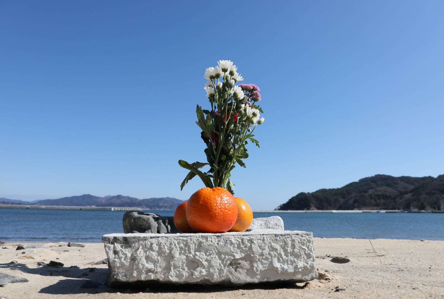Flower and oranges at the Yoshiuri coast