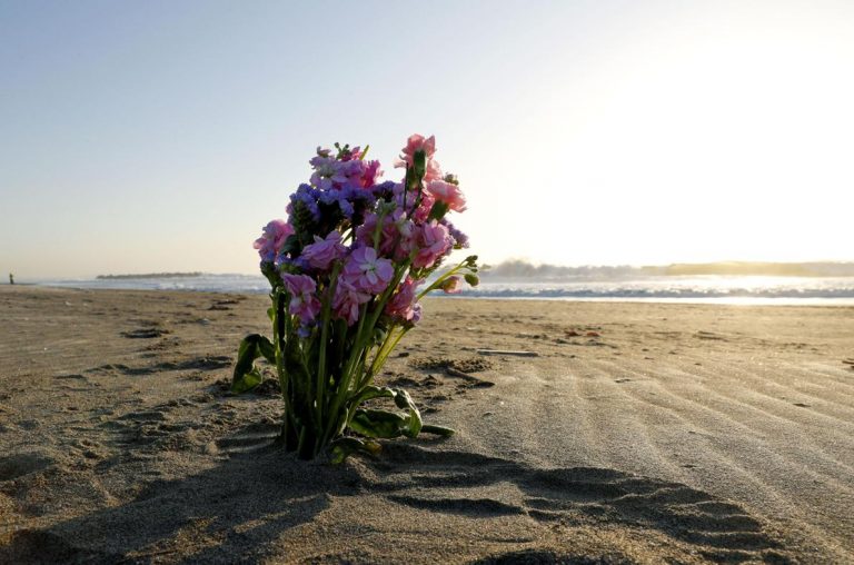 Flower at the Koshiuri coast