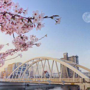 Japan spring is ❤ - Alfie Gado