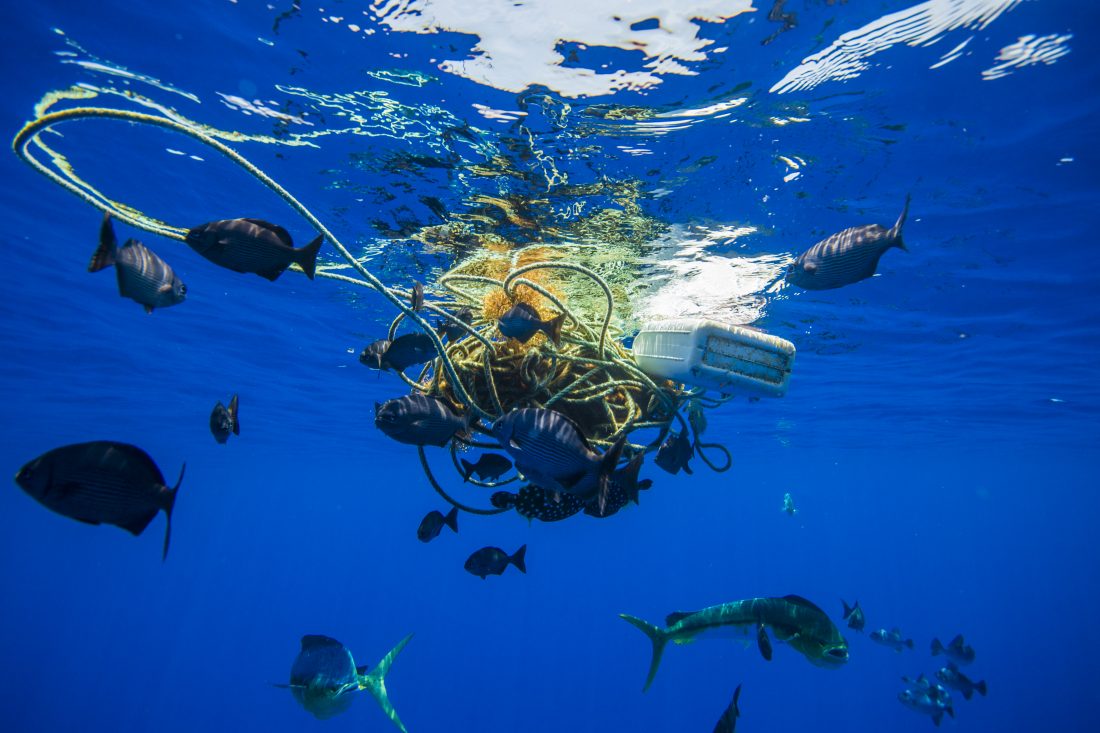 Особенности жизни в океане. Пластик в океане. Загрязнение океана. Пластик в мировом океане. Мировой океан.