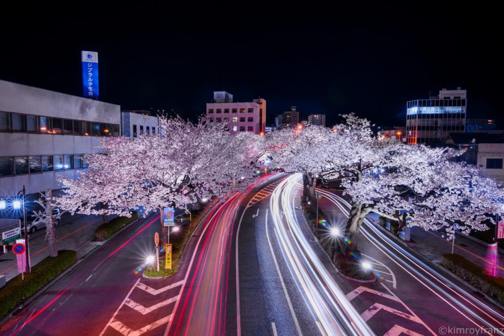 The beauty of Sakura at Night - Kimroy B. Francisco