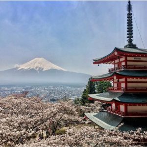 Cheri Newton - Sakura Pagoda and Fuji