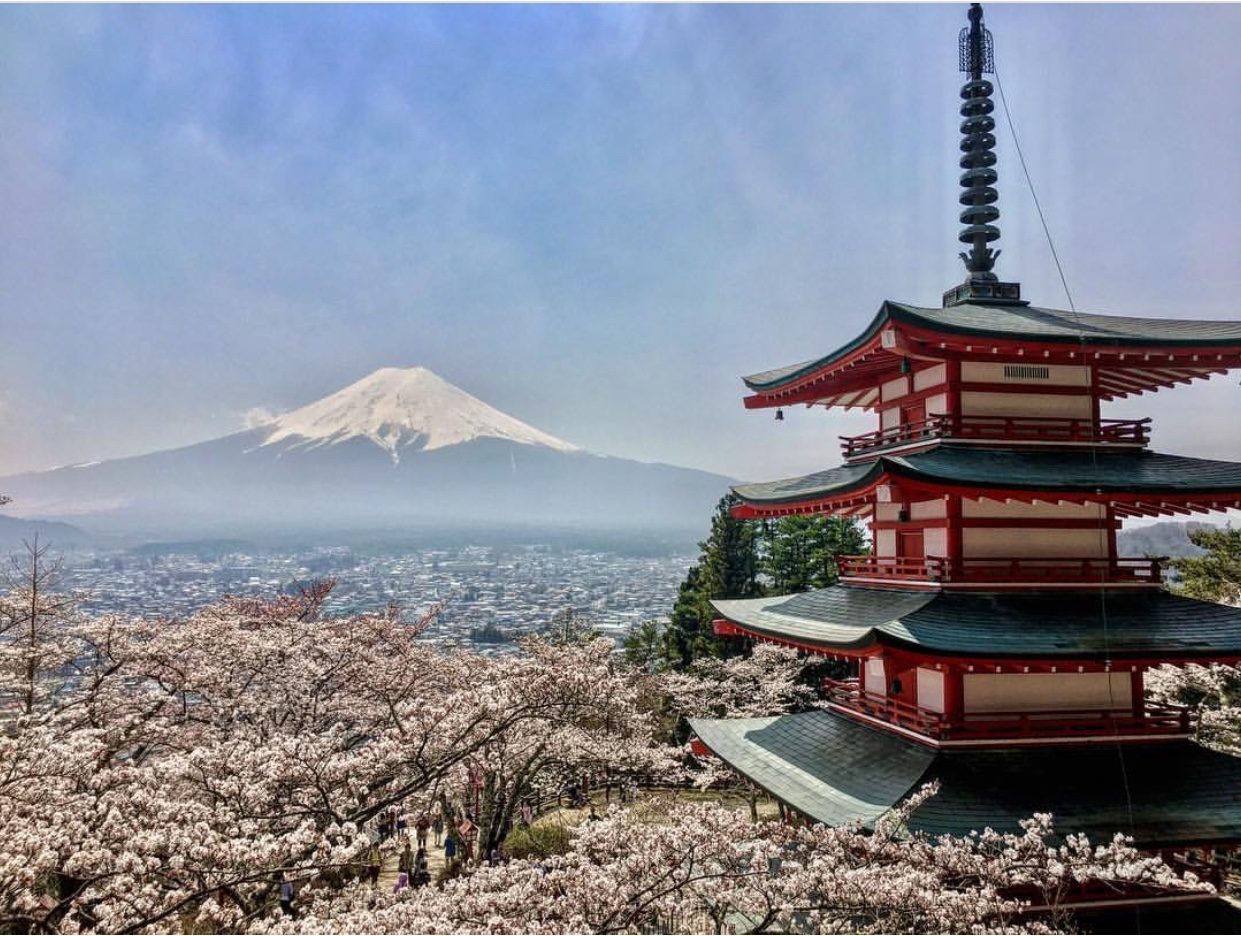 Cheri Newton - Sakura Pagoda and Fuji
