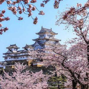 Jun Moredo - Spring at Himeji Castle Park
