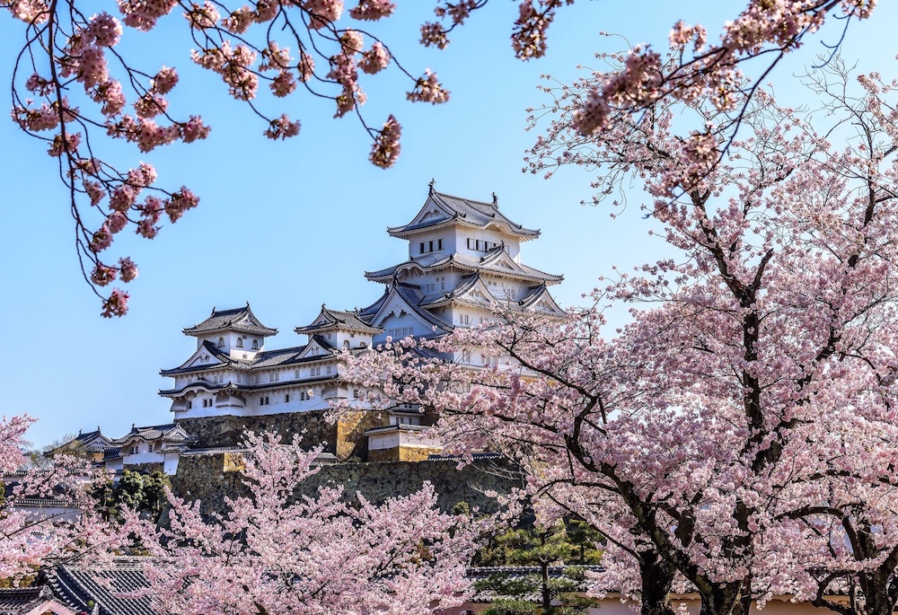 Jun Moredo - Spring at Himeji Castle Park