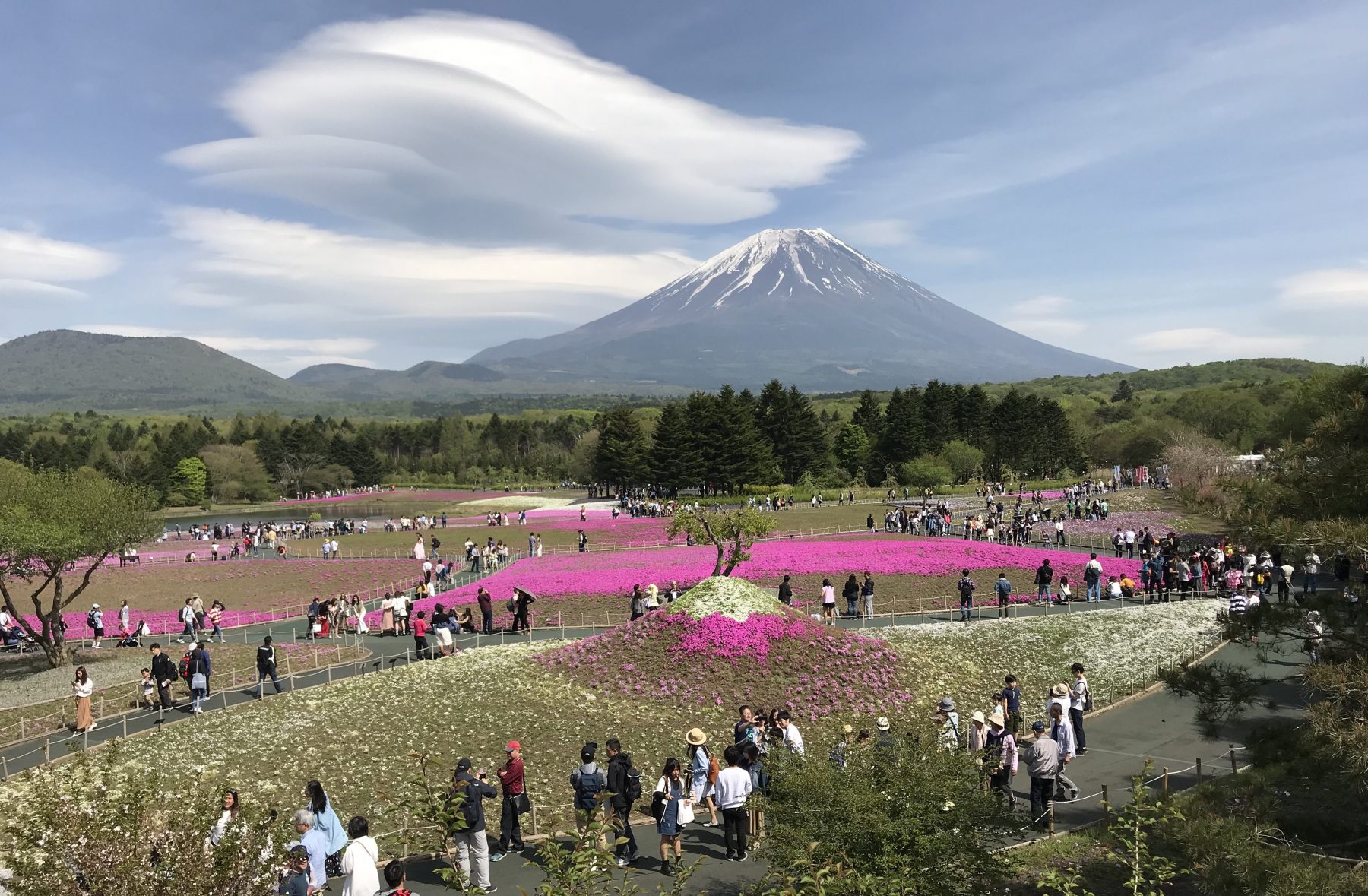 over tourism threatens mt. fuji world heritage status