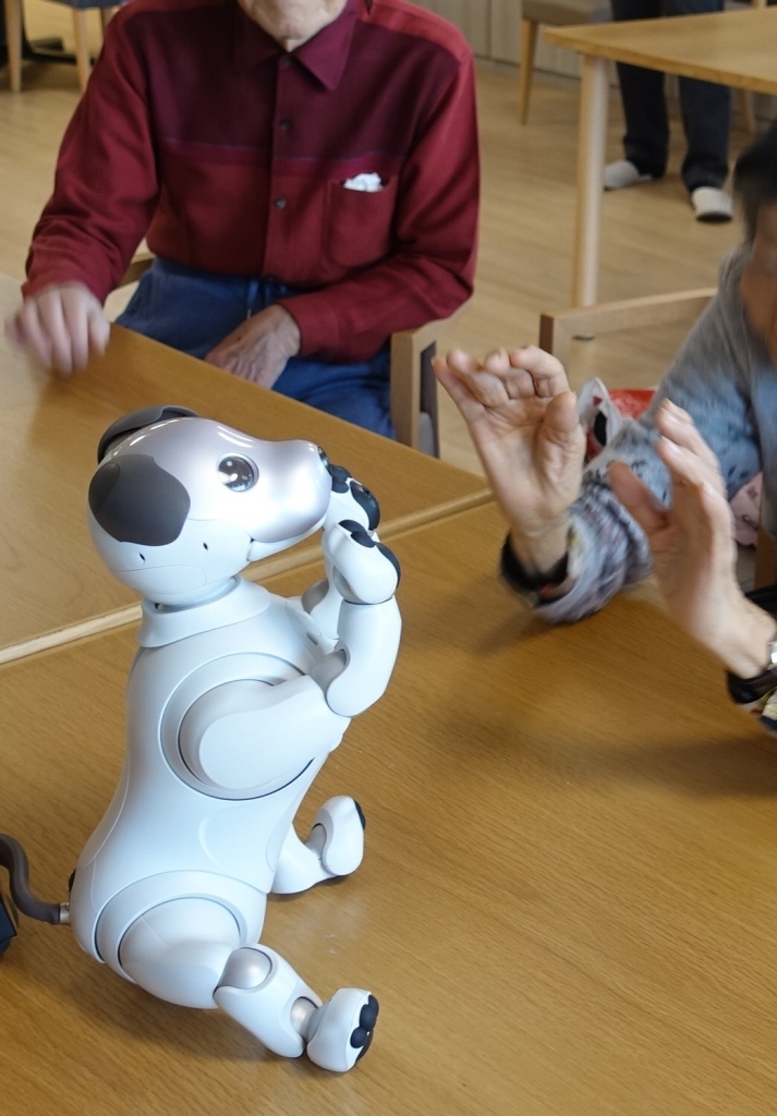 Japanese store robot dog