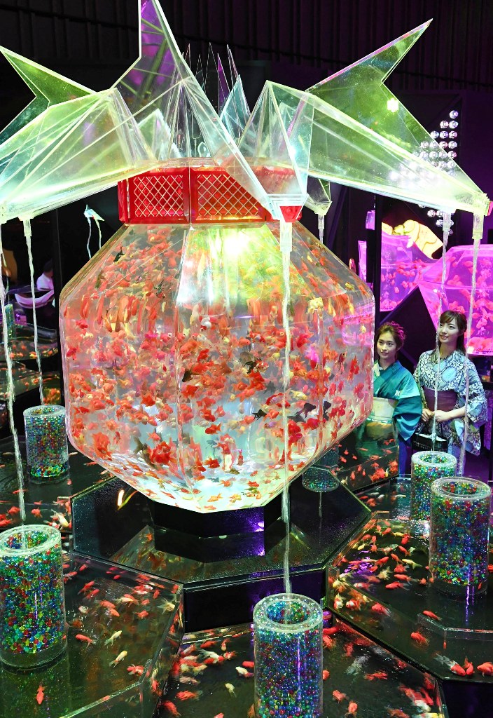 [Hidden Wonders of Japan] Fight Tokyo’s September Blues with Art Aquarium Exhibition