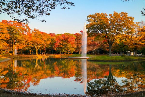 Spring in Tokyo: See Why it's the Most Beautiful Season