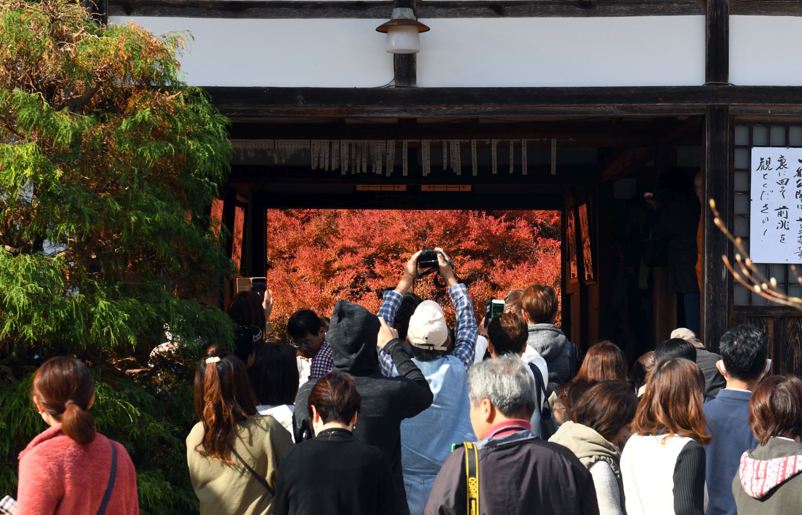 Toyooka City’s Ankokuji Temple Is A Masterpiece in Autumn