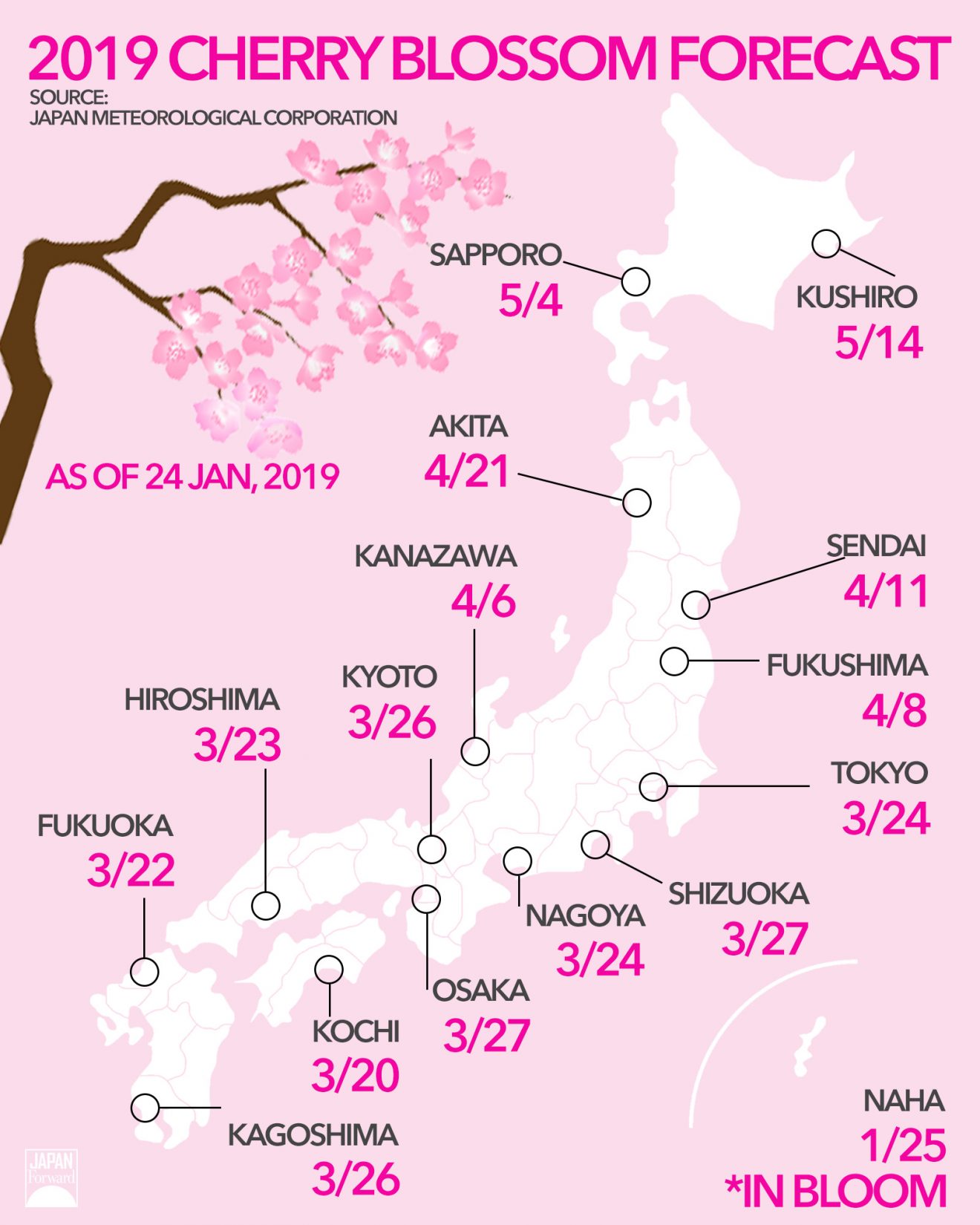 2019 Cherry Blossoms Forecast: From Kyushu to Hokkaido | JAPAN Forward