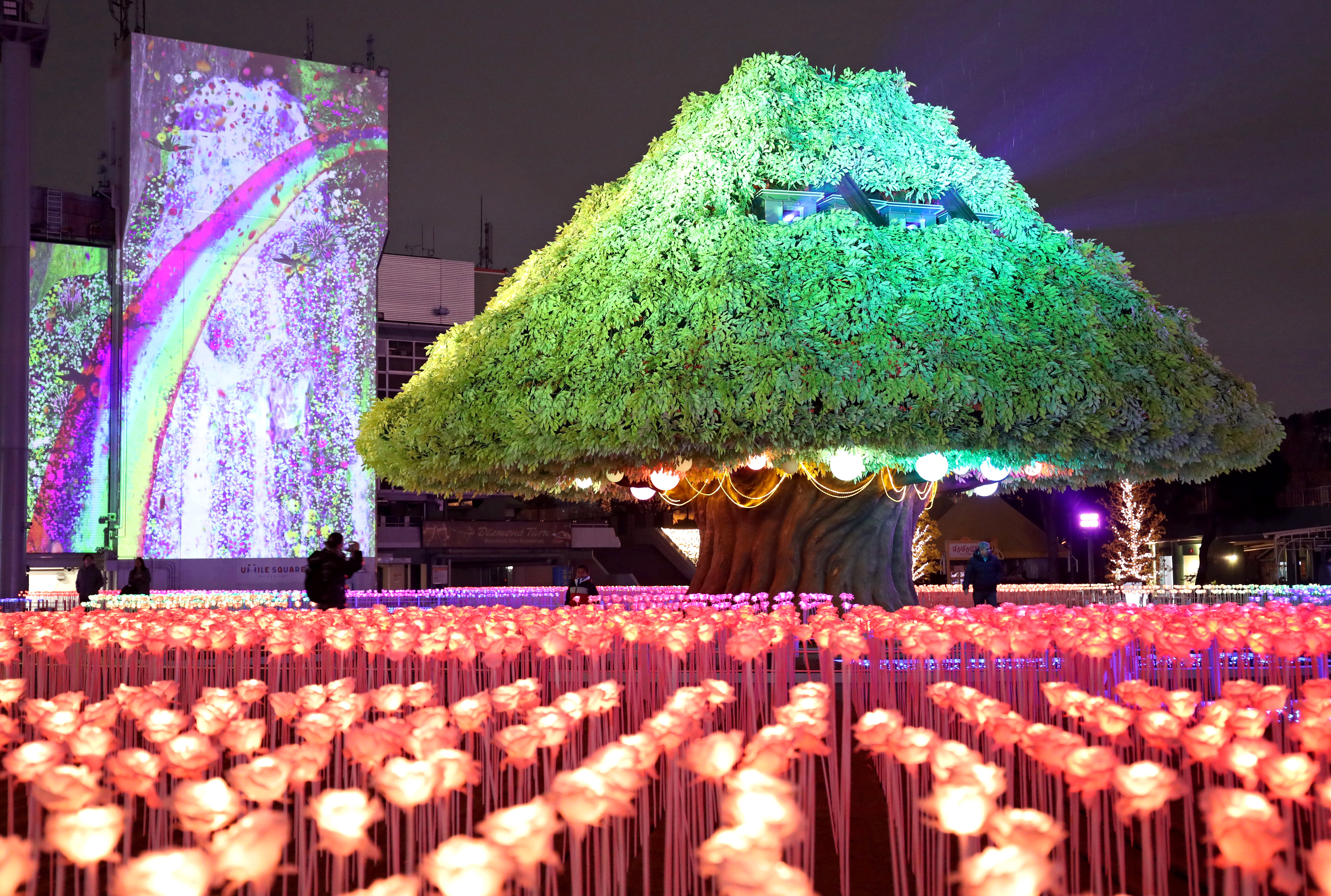 Pegasus Light Corridor At New Tokyo Mega Illumination Japan Forward