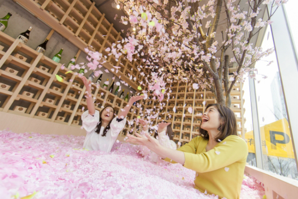 Dive into a Pool of Sakura at Tokyo’s Cherry Blossom Bar This Spring
