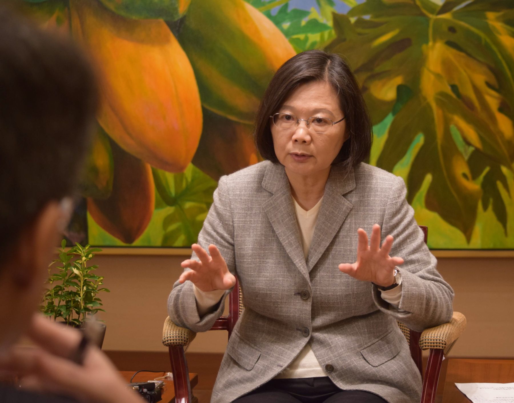 Japan Taiwan President Tsai Ing-wen Interview 013