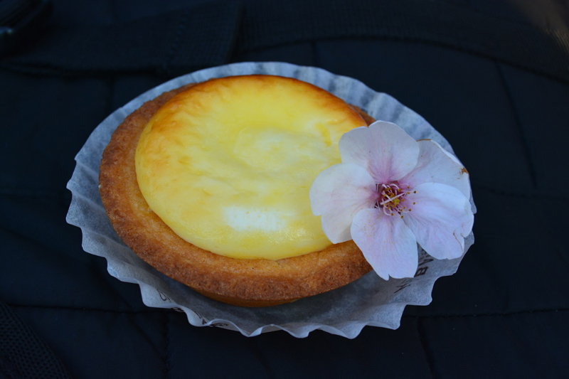 ‘SpringCombo: Cheesecake and Sakura’