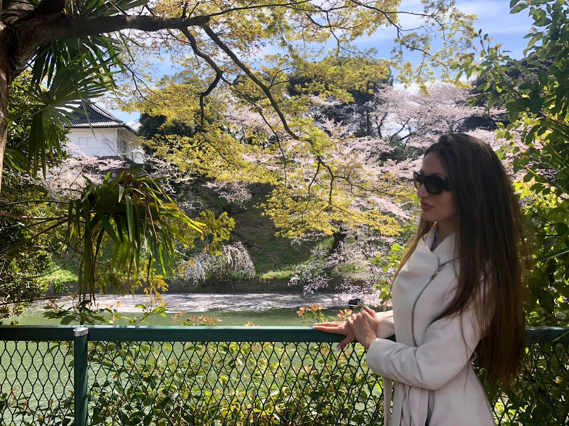 ‘Sakura Tokyo Japan’