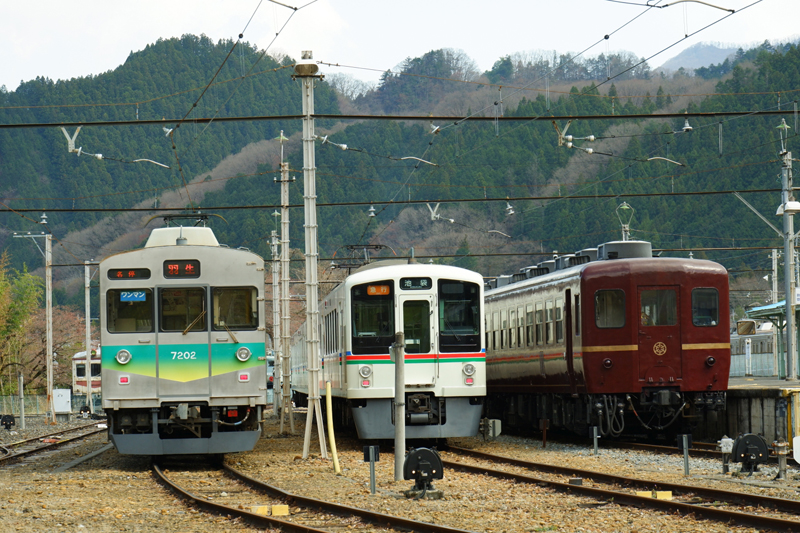 Chichibu-RR-Paleo-Express-Steam-Train-02