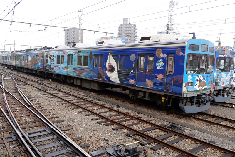 Chichibu-RR-Paleo-Express-Steam-Train-19