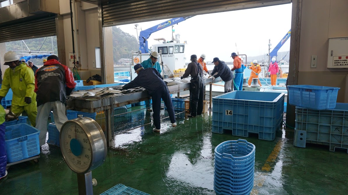 Taiji Whale Town Wakayama Controversy