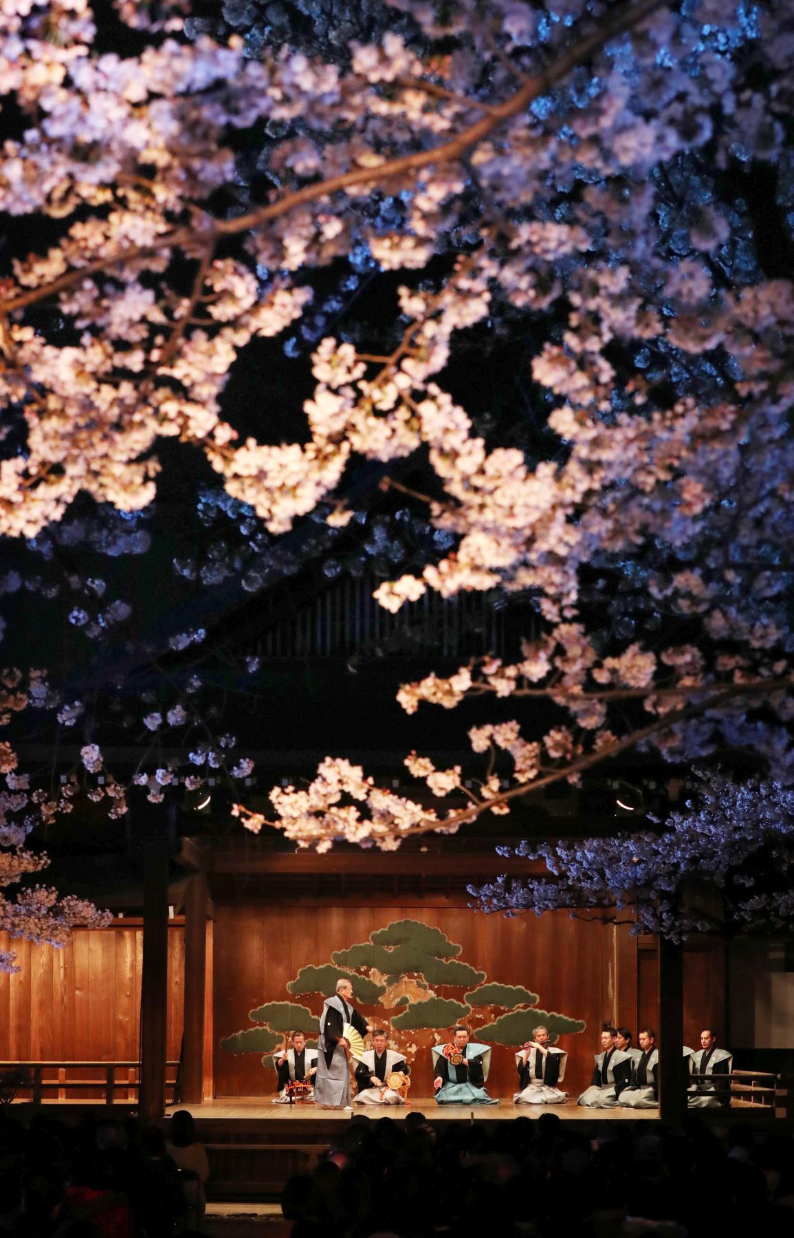 Japan Sakura Cherry Blossom 2019 007