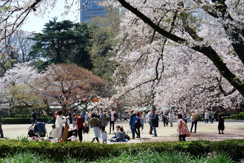 Shinzo Abe memoir