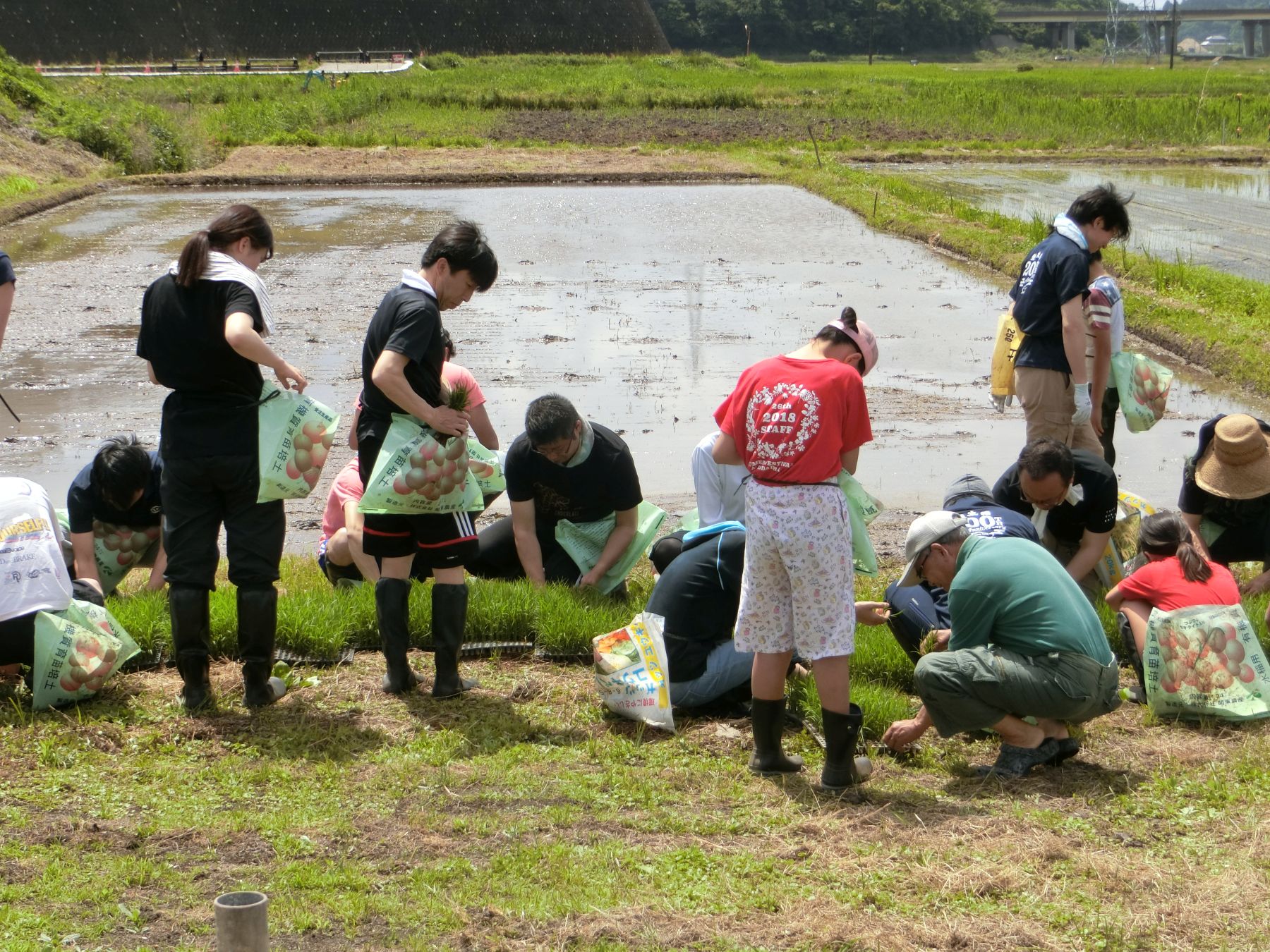 The Land of Abundant Harvest- Japan and Rice 003