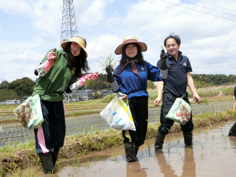 The Land of Abundant Harvest- Japan and Rice 006