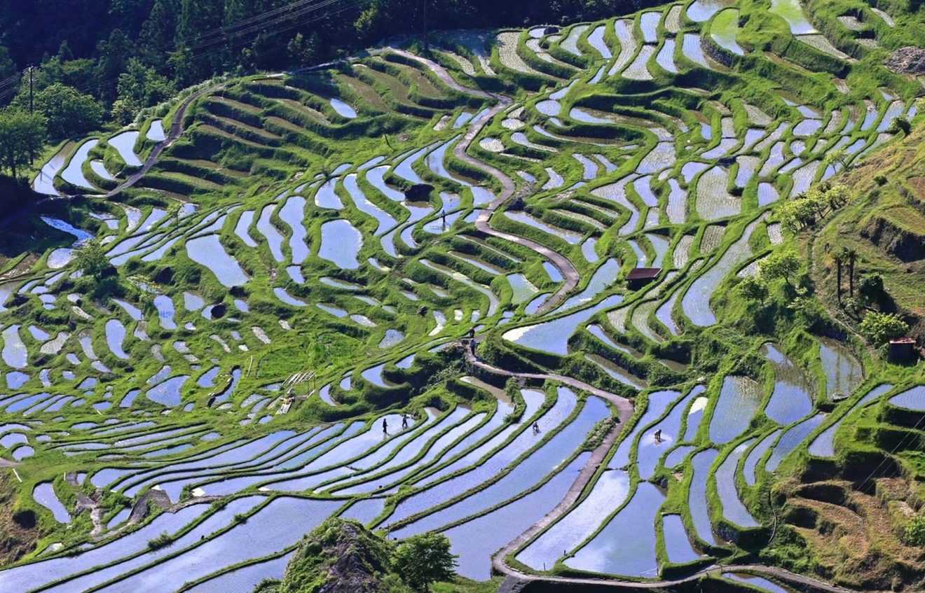 [Hidden Wonders of Japan] Preserving Maruyama's Thousand Rice Paddies ...