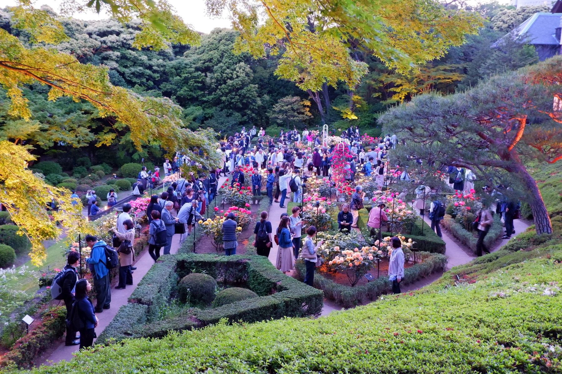 Japan Gardens of Wealth Furukawa teien 023