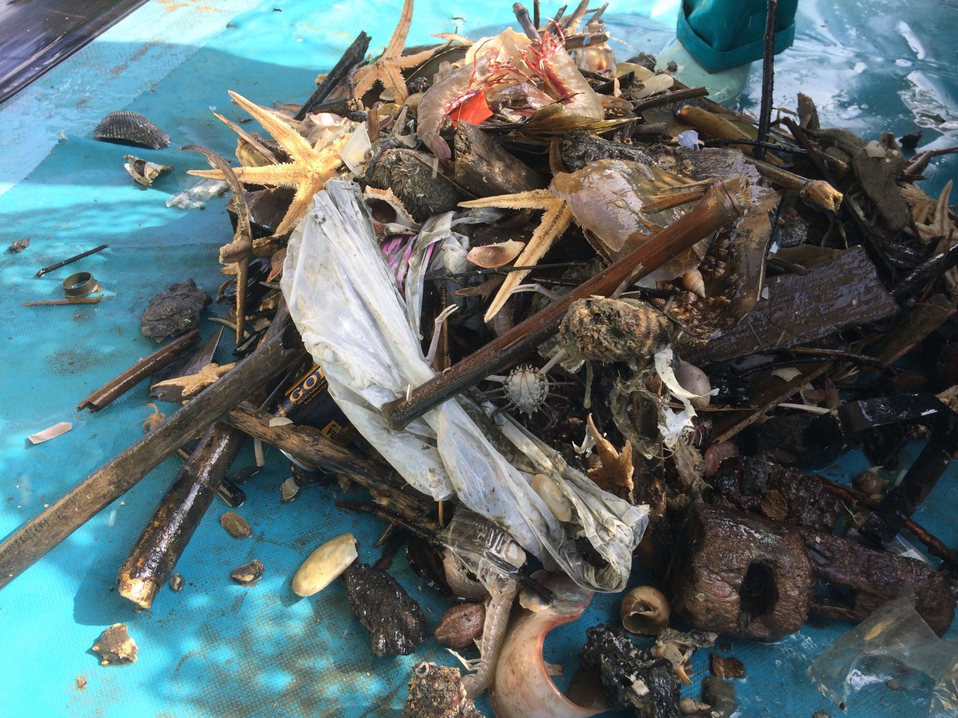 Plastic Waste in the Ocean 005