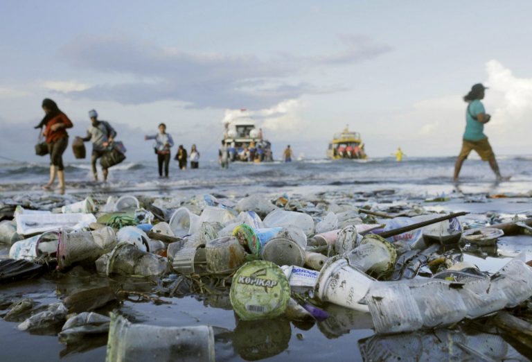 Plastic Waste in the Ocean 007