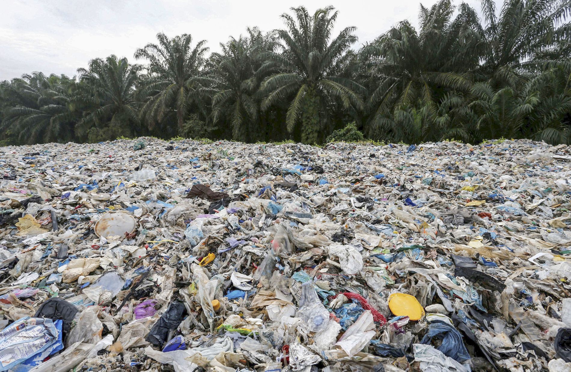 Plastic Waste in the Ocean 012