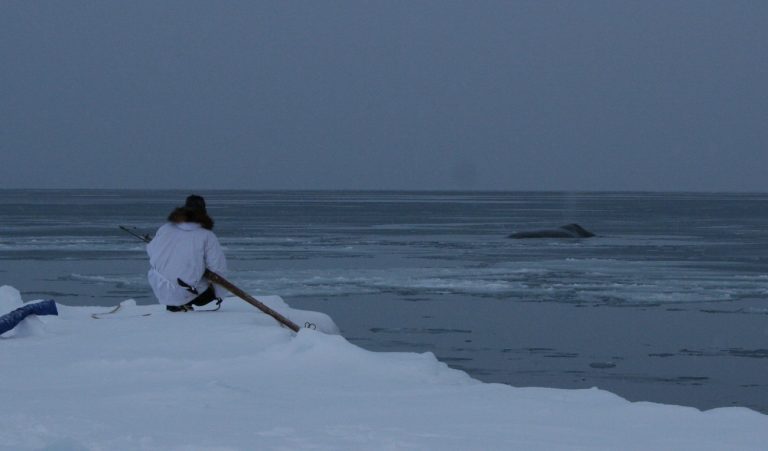 An Argument for Sustainable Whaling: The Case of Alaska's Indigenous Peoples