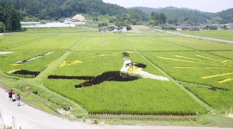 Kakuda City Rice Paddy Art Features Skating Champ Yuzuru Hanyu 001