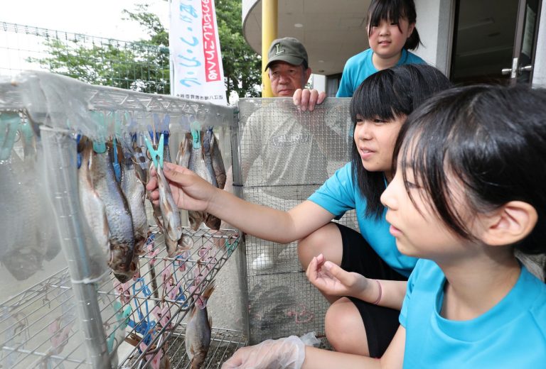 Summer on Okishima A Taste of Tradition with Island Fish