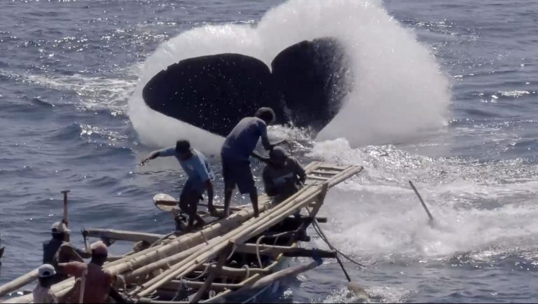 Film Whale Hunting From Lamarela by Bon Ishikawa 006