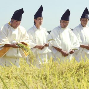 Hidden Wonders of Japan Harvesting Rice for the Imperial Succession 001