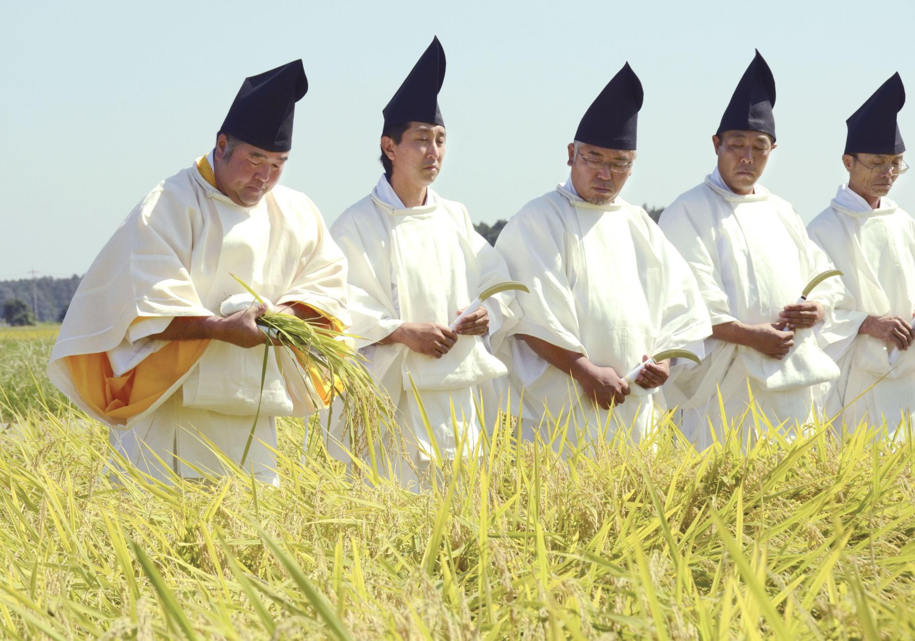 Hidden Wonders of Japan Harvesting Rice for the Imperial Succession 001