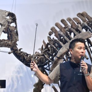 Mukawa Dragon or Kamuysaurus Japonicus puts Japan on the Global Dinosaur Map