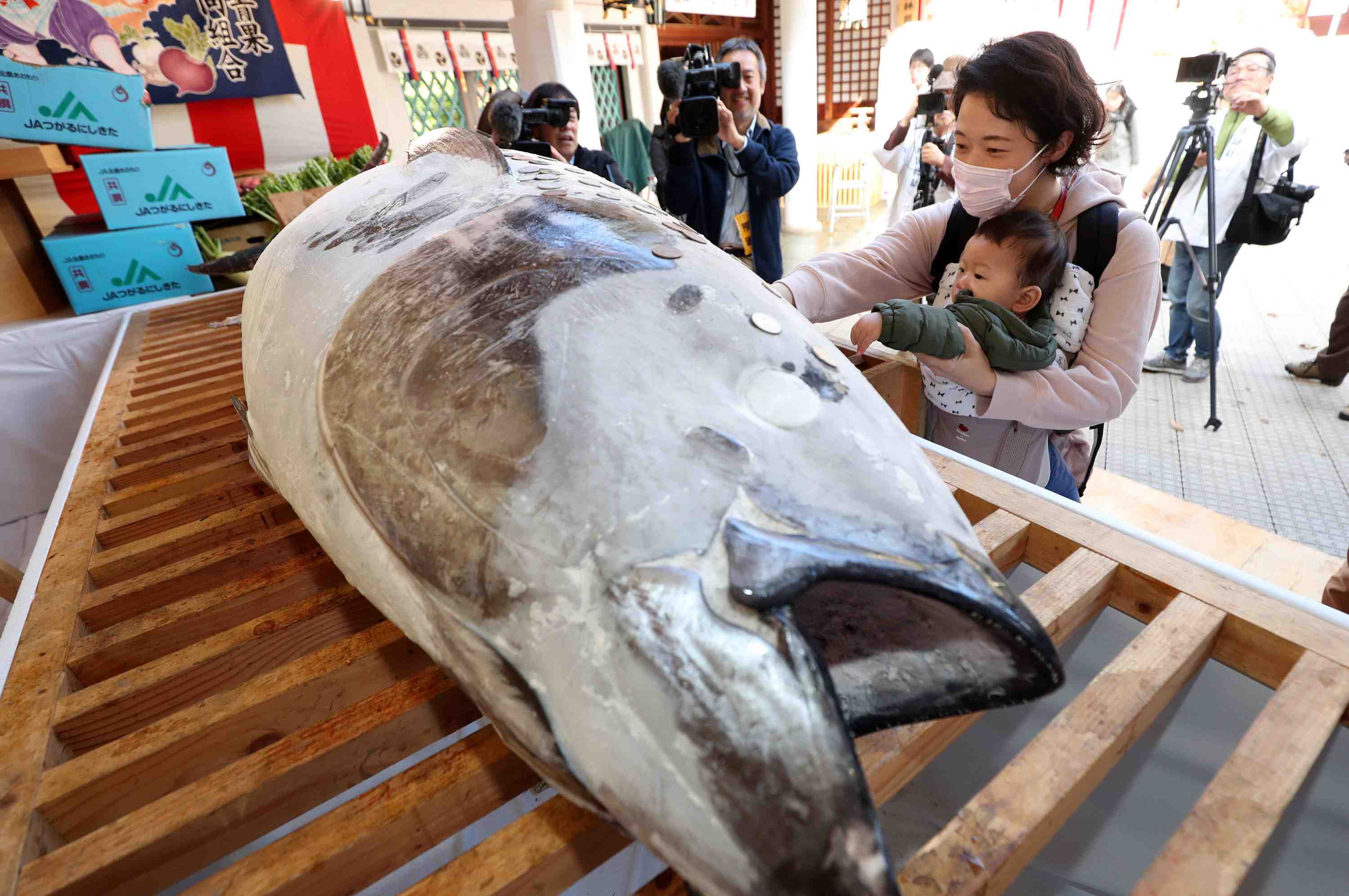 Hidden Wonders of Japan A Big Tuna-a-Day Brings Good Luck 002