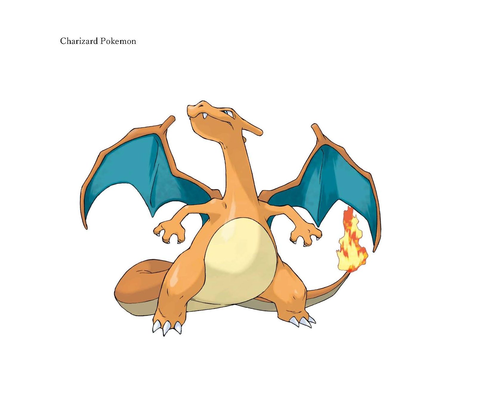 Charizard Pokemon | JAPAN Forward