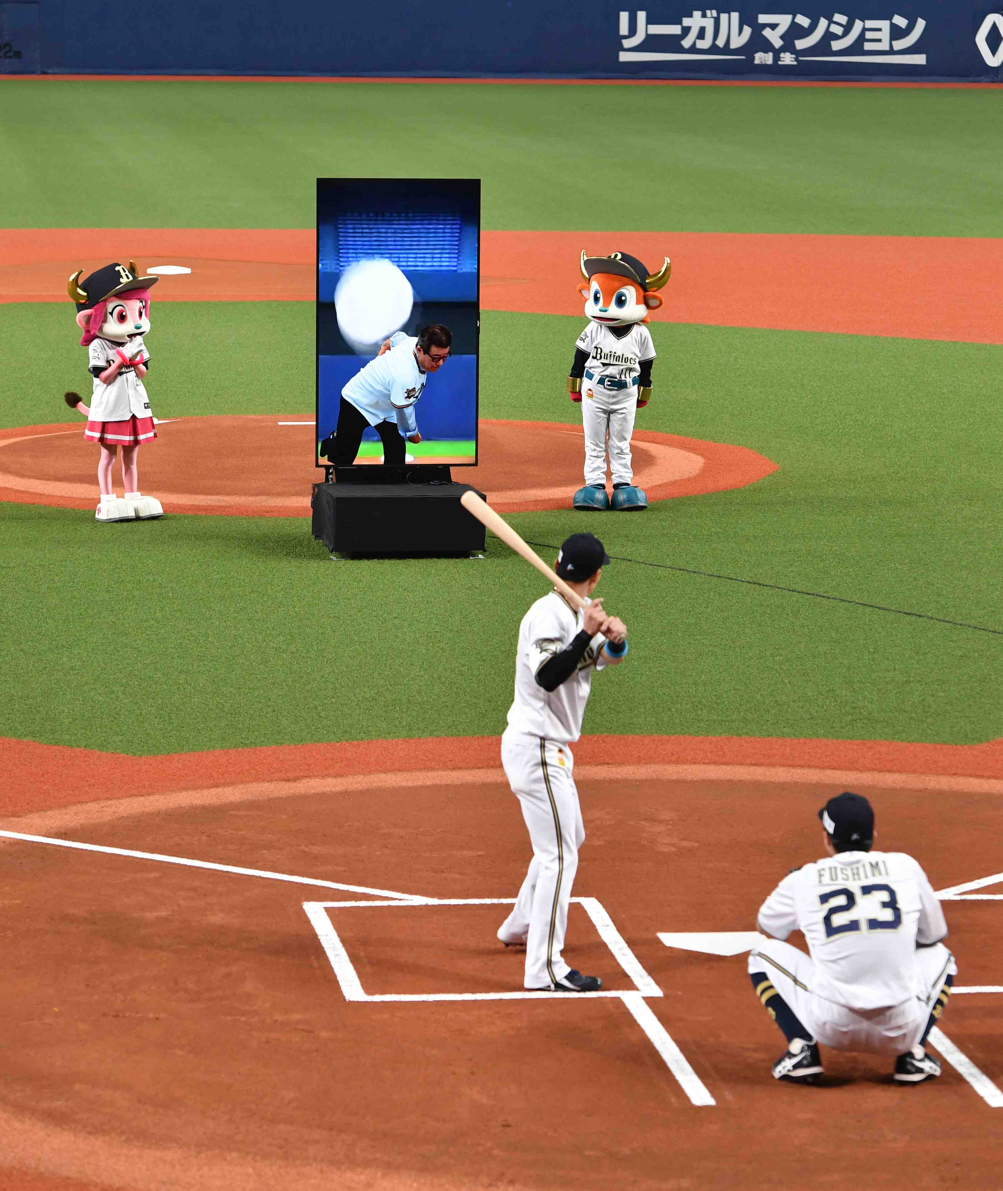 Baseball Japan NPB JAPAN Forward