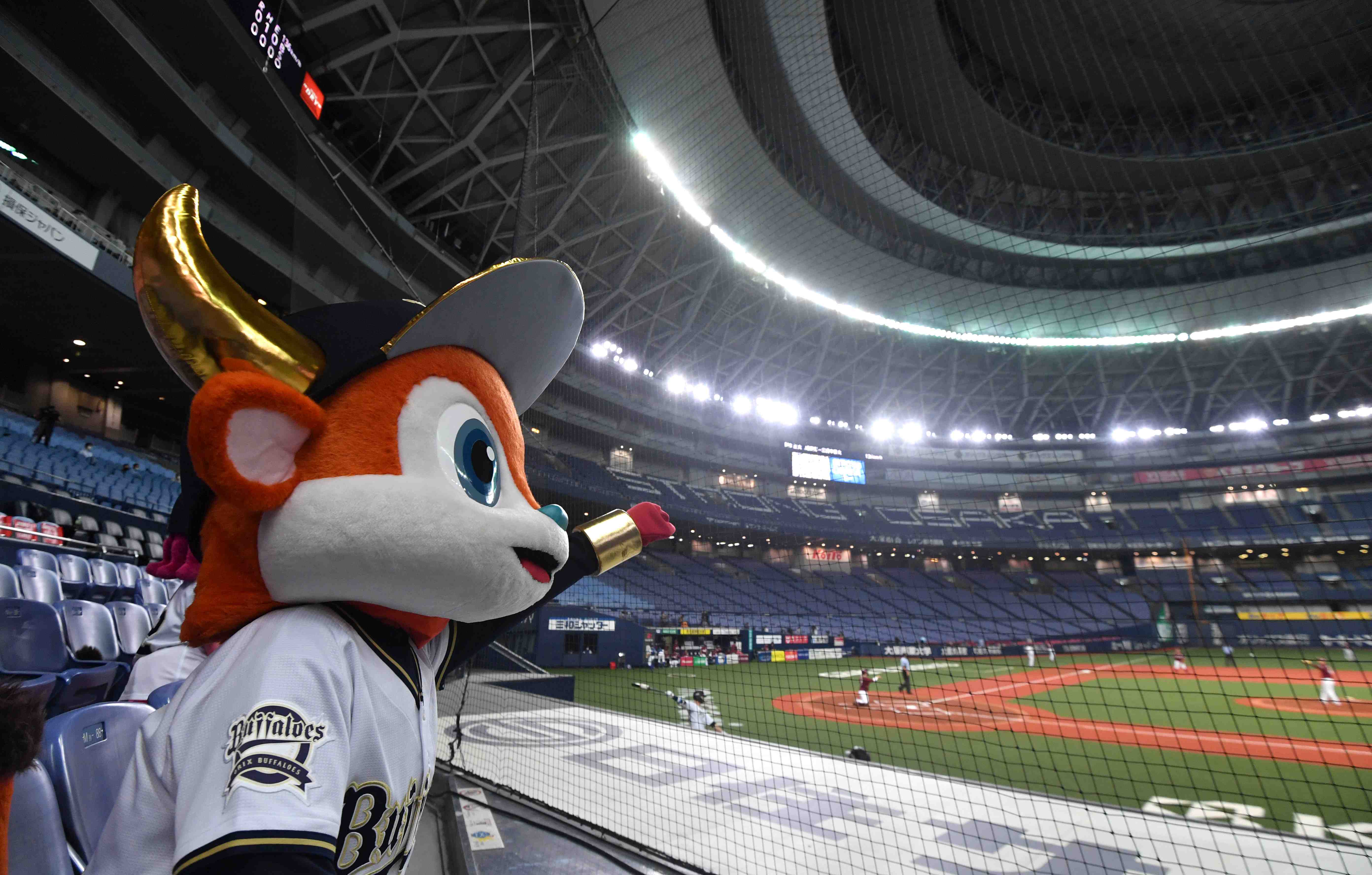 Baseball Japan NPB JAPAN Forward